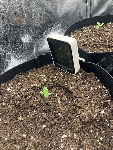 Growreport Bild 2