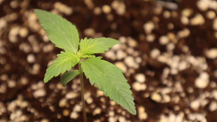 Growreport Bild 21