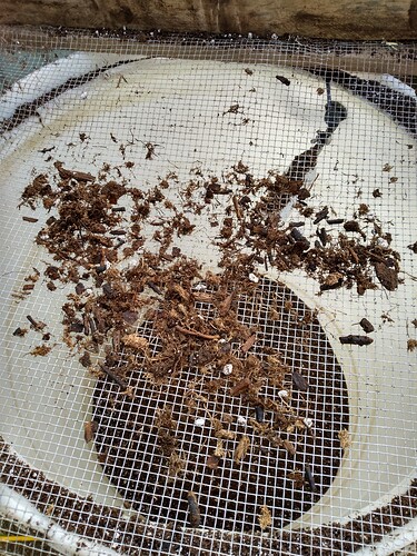 IMG_20240603_194517180_HDR1