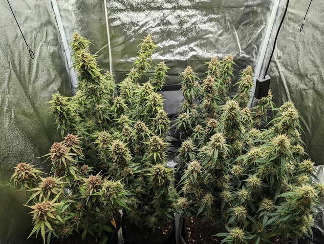 Growreport Bild 9