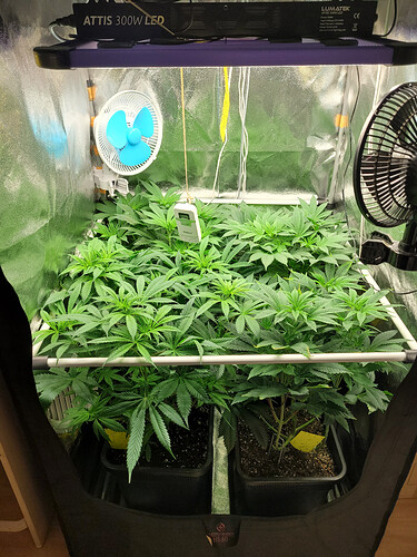Growreport Bild 3
