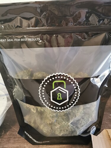 Growreport Bild 5