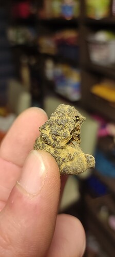 Growreport Bild 11