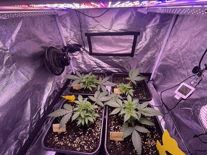 Growreport Bild 5