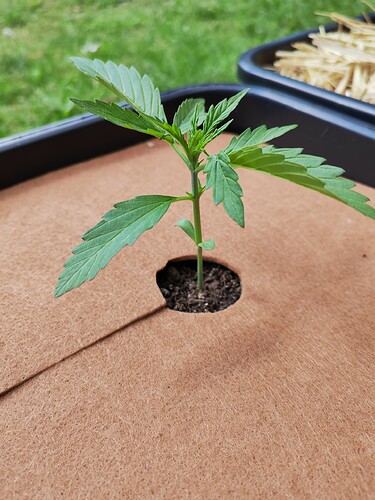 Growreport Bild 13