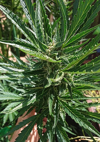 Growreport Bild 14