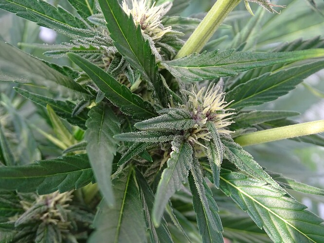 Growreport Bild 20
