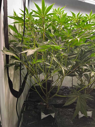 Growreport Bild 4