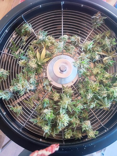 Growreport Bild 17