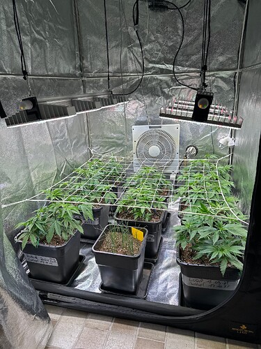 Growreport Bild 70