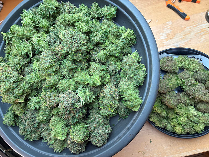 Growreport Bild 20