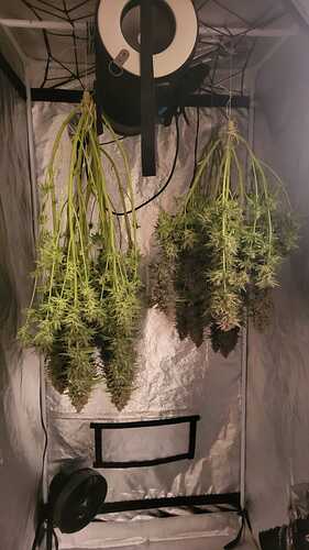 Growreport Bild 8