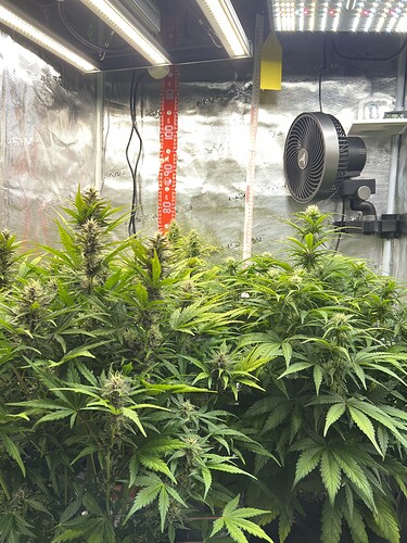Growreport Bild 19