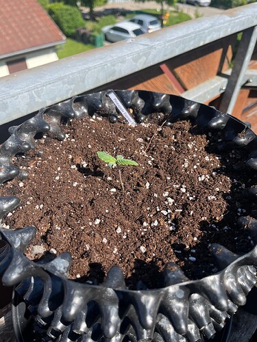 Growreport Bild 8
