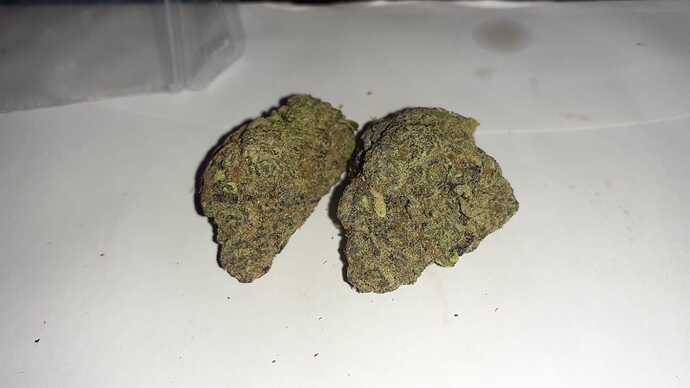 e79ee142-39be-49b1-8ad8-7c98d1d738d7