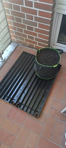 Growreport Bild 58