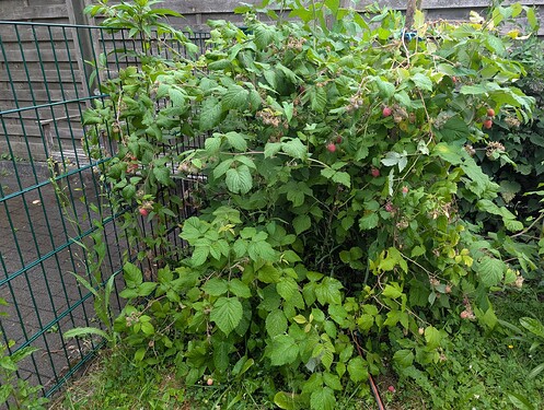 PXL_20250625_184140975