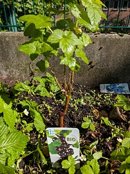 PXL_20250509_143452465