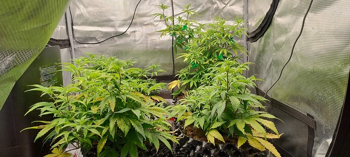 IMG_20251026_162822833_HDR