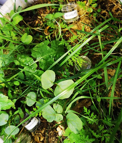 IMG_20250303_124007_edit_246145005996815