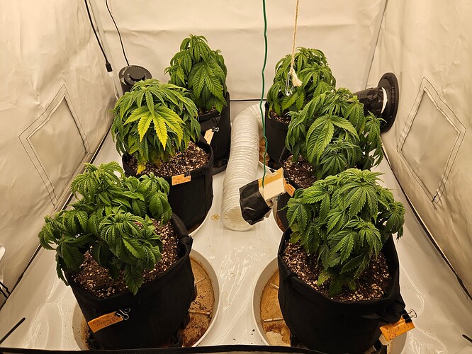 Growreport Bild 1