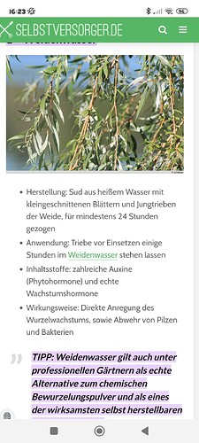 Screenshot_2025-03-24-16-23-07-626_com.android.chrome
