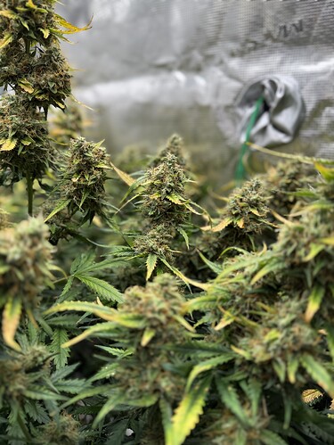 Growreport Bild 23