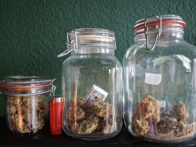 Growreport Bild 11