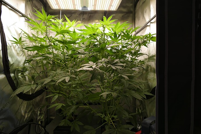 Growreport Bild 9
