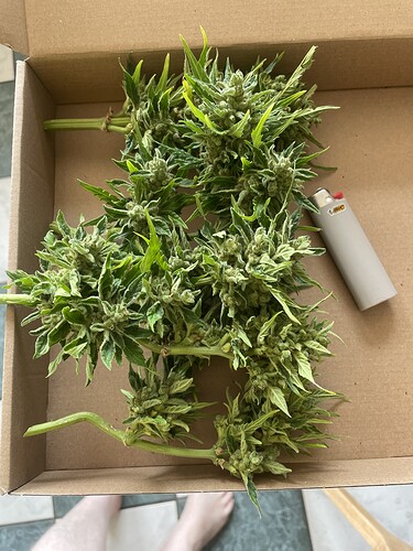 Growreport Bild 15