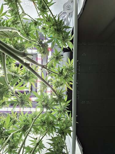 Growreport Bild 15