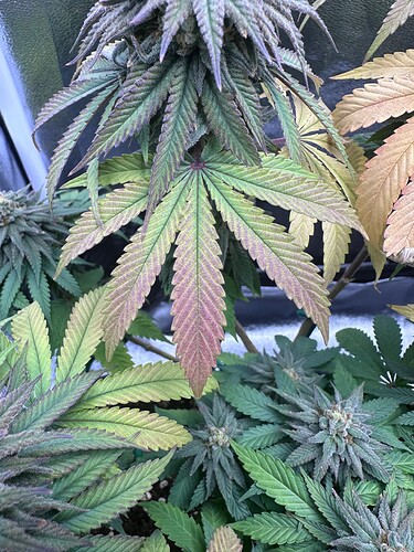 Growreport Bild 16