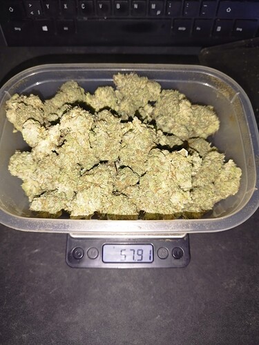 Growreport Bild 2