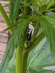 PXL_20250525_113842987.MP