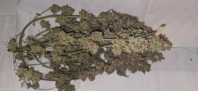 Growreport Bild 1