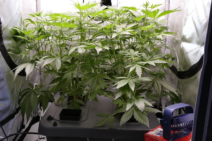 Growreport Bild 12