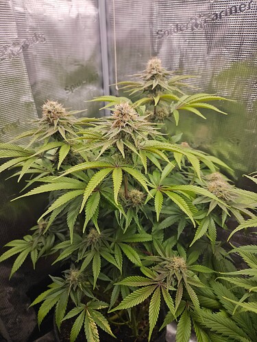 Growreport Bild 16