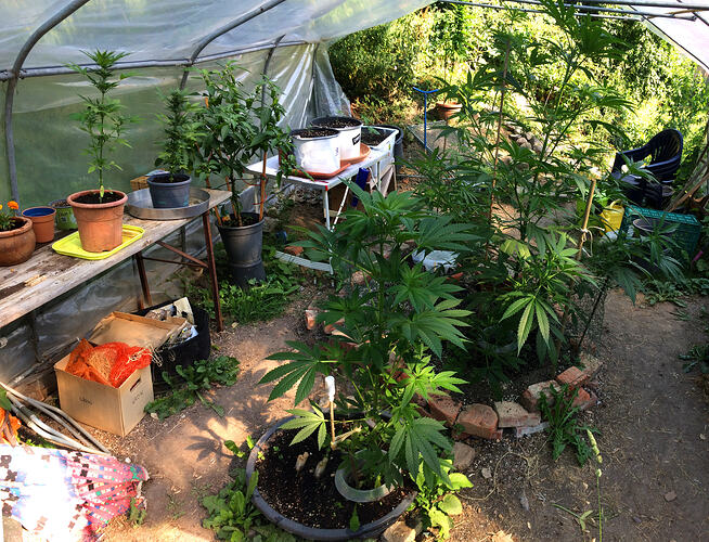 Grow26_0723_07
