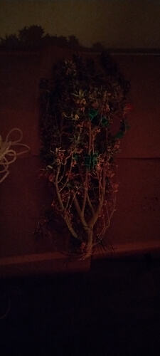 Growreport Bild 7