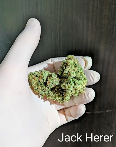 Growreport Bild 9