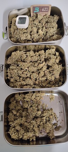 Growreport Bild 54
