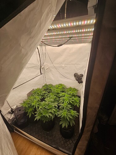 Growreport Bild 6