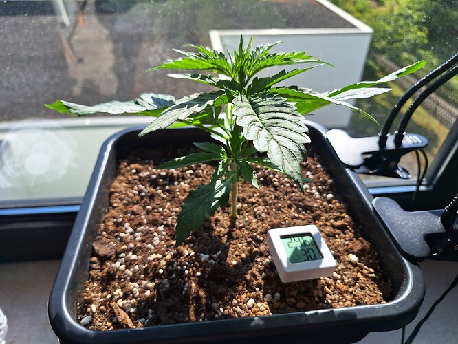 Growreport Bild 16