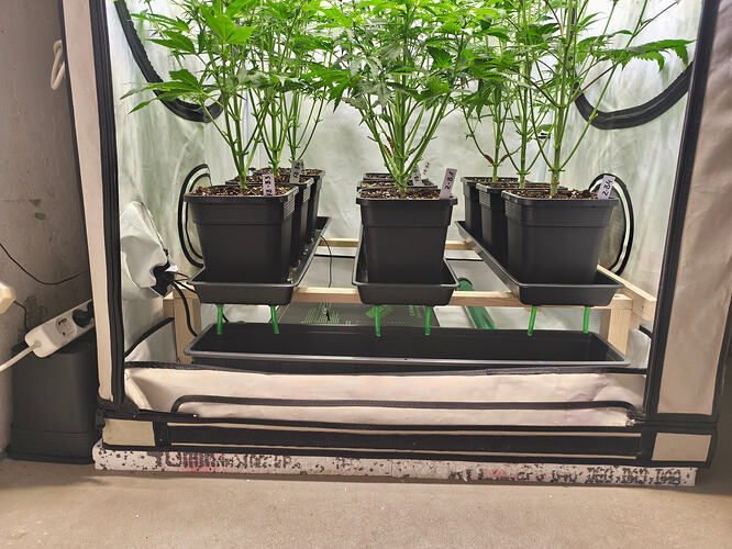 Growreport Bild 7