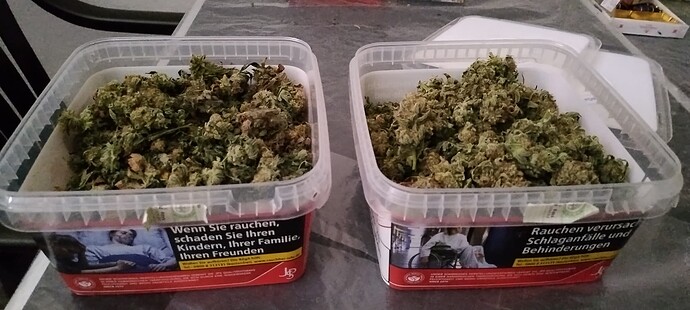 Growreport Bild 12