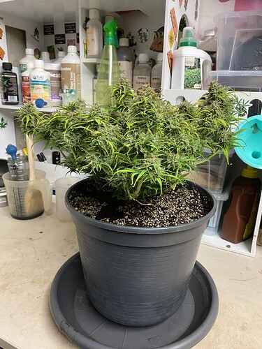 Growreport Bild 22