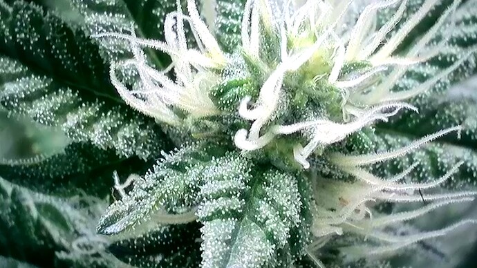 2024-06-08-22-16-40-114