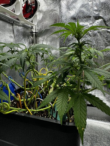 20240630_100813345_iOS