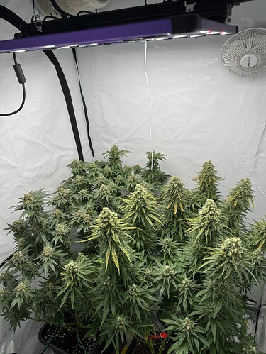 Growreport Bild 1