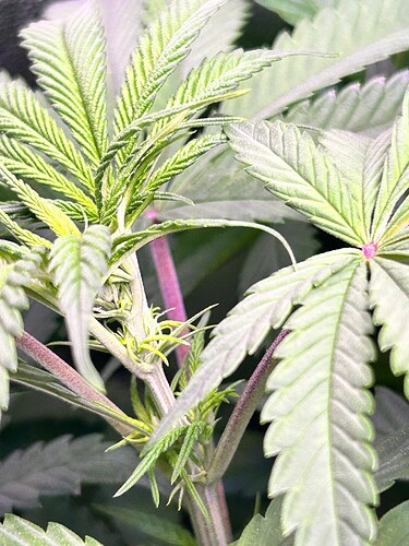 Growreport Bild 12